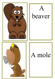 autumn forest animals flashcards