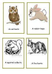 animals in the forest action cards