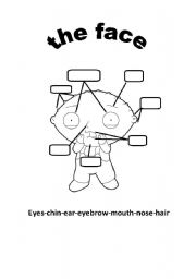 English worksheet: the face