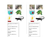 English Worksheet: Animal Coverings Partner Activity