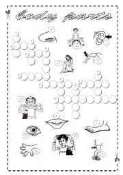 English Worksheet: Body Parts - Crossword + Key