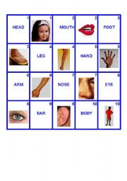 English Worksheet: Body Memory Game