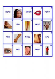 English Worksheet: Body Memory Game