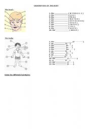English Worksheet: Descrption of the body parts and face
