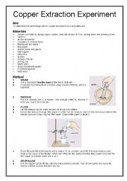 English Worksheet: Copper Extraction Experiment