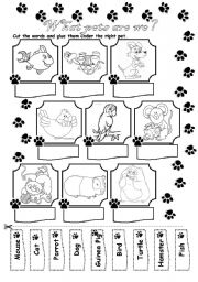 English Worksheet: Animals (pets)