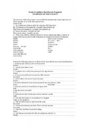 English Worksheet: grammar