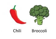 English Worksheet: Vegetable Flash Cards Part 1