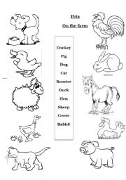 English Worksheet: Pets