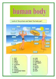 English Worksheet: HUMAN BODY