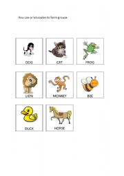 English worksheet: animal flashcards