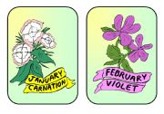 Months and flowers flashcards