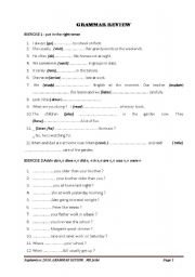 English Worksheet: grammar review