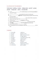 English worksheet: VOCABULARY ADVANCED