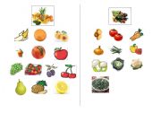 English worksheet: Fruits and Vegetables