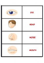 English Worksheet: parts of he body 1/3