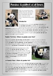 English Worksheet: Reading (1): Pandas - Cuddliest of all Bears