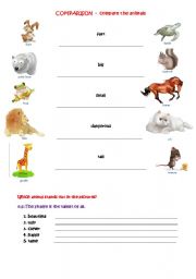 English worksheet: comparison