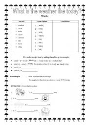 English worksheet: What is the weather like today?