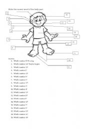 English Worksheet: body parts