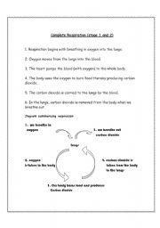 English Worksheet: Respiration in Humans
