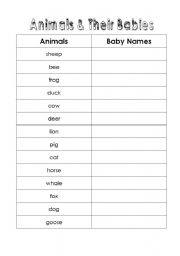 English worksheet: Animals and Their Babies