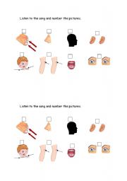 English Worksheet: song: Head Shoulders Knees and Toes