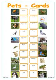 English Worksheet: Pets - Cards