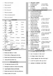 English Worksheet: basic grammar test