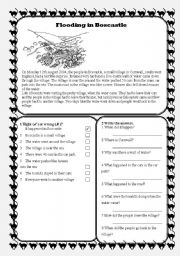 English Worksheet: Reading Test