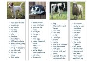 English Worksheet: Farm Animals - Fact Files