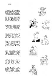 English worksheet: wild animals