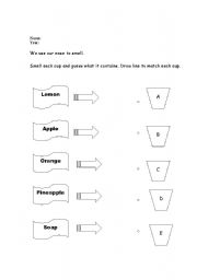 English Worksheet: smell activity