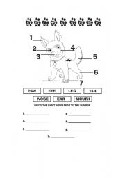 English worksheet: Parts of the Body