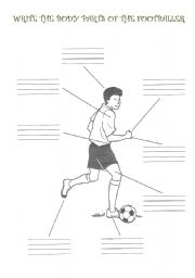 English worksheet: Footballer body parts