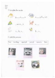 English worksheet: Animals