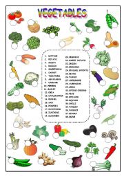VEGETABLES  (KEY IS INCLUDED)