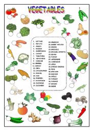 English Worksheet: VEGETABLES  (KEY IS INCLUDED)