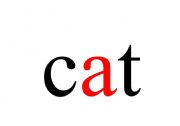 English Worksheet: Phonics Flashcards 1b