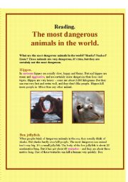 The most dangerous animals in the world