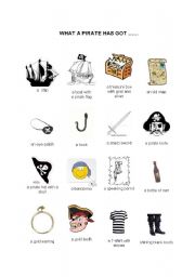English Worksheet: Pirates and the things they have got