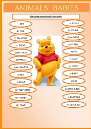 English Worksheet: Animals Babies