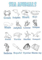 English Worksheet: sea animals