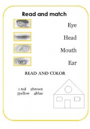 English worksheet: face and colours worksheet