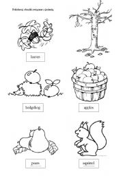 English Worksheet: Autumn