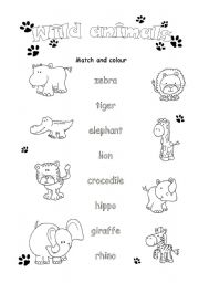 English Worksheet: Wild animals