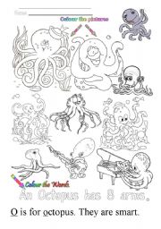 English Worksheet: O is for octopus