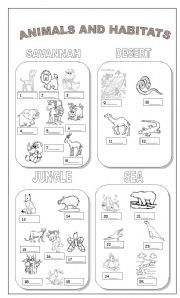 Animals and habitats