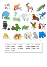 English Worksheet: animals