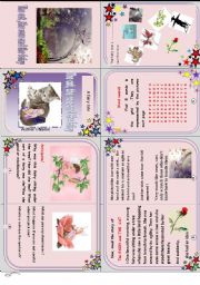 English Worksheet: The fairy, the cat and the rose . Another minibook!